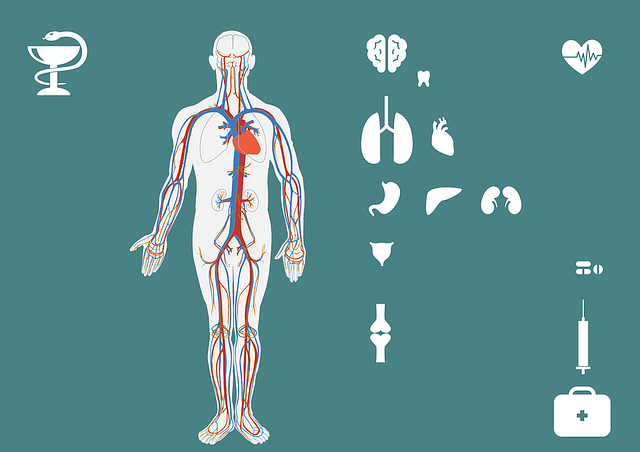 부신기능저하증 진단 후 관리하는 방법